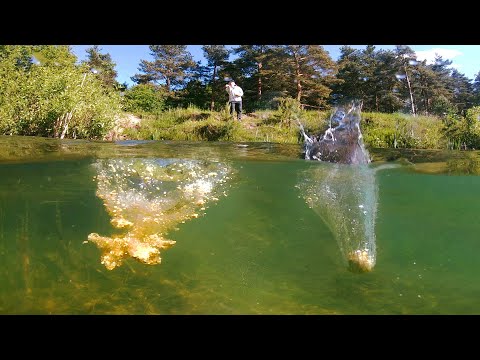 Видео: Тест прикормки ПОД ВОДОЙ! Как ПРАВИЛЬНО прикармливать и как растворяются шары прикормки?