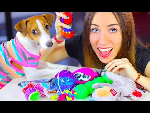 Видео: ИГРУШКИ ДЛЯ СОБАКИ - ОБЗОР И HAUL | ПОКУПКИ ИЗ ЗООМАГАЗИНА - GiGWi | Elli Di Pets