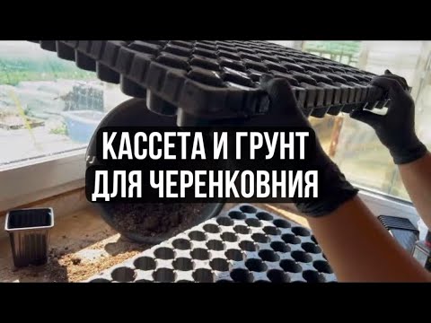 Видео: 13. Кассета для растений // Грунт для черенка