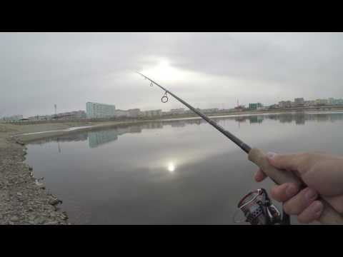 Видео: Тест Zetrix Ambition-X 732MH vs MajorCraft Rizer 742MH