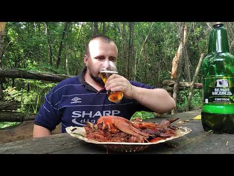 Видео: Пиво и раки