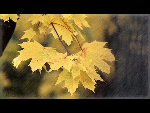 Видео: Романс о прошлом - Юрий Алкин