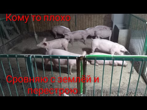 Видео: Новый свинарник. Срочно нужно переделать. Плохо построил)))))