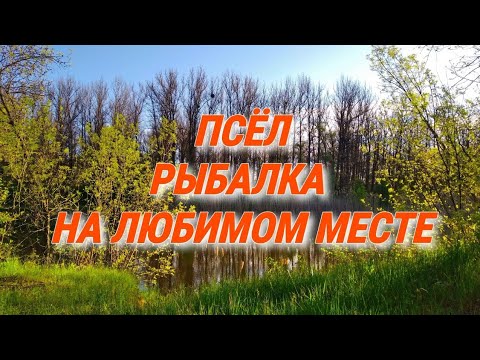 Видео: Рыбалка с ночёвкой на реке Псёл в Полтавской области.Любимое место для рыбалки и отдыха