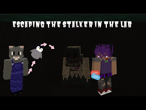 Видео: Сталкер в лаборатории :: Sculk Labs, главы 2 и 3