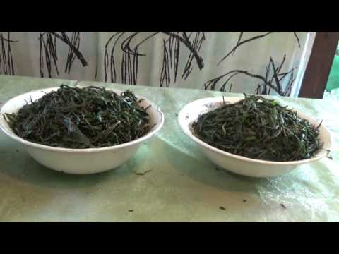 Видео: Иван-чай. Часть 3.