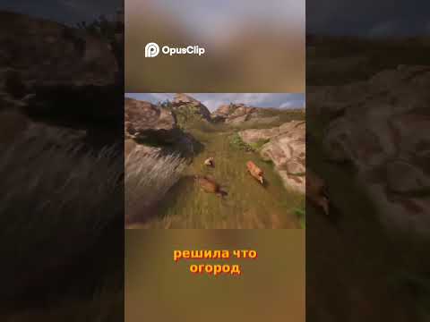 Видео: Охота за грибами⁺˚⋆｡°🍄₊#Ira_Impera #Impera #Прохождение #AdorableAdventures  #game #gameplay