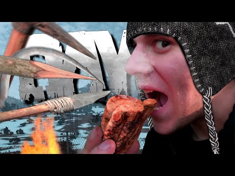 Видео: Проблемы выживания в DayZ
