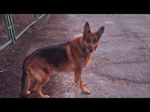 Видео: Irishka в прямом эфире!