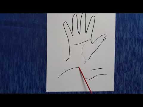 Видео: Линия головы. Часть 1. Хиромантия