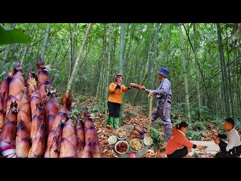 Видео: Тэм и Лан отправляются вместе в лес собирать бамбуковые побеги и готовить вкусные блюда.