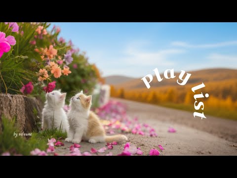 Видео: 𝐏𝐥𝐚𝐲𝐥𝐢𝐬𝐭 [Cafe] Просто включил и атмосфера кайф❤️ Музыка для работы с мгновенным счастьем
