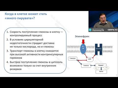 Видео: Лактат ацидоз при сепсисе Афончиков В.С.