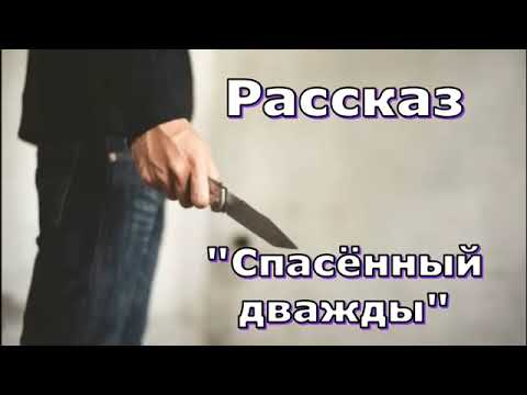 Видео: Рассказ "Спасённый дважды" и стихотворение Светланы Тимохиной.  Песню исполняет Виталий Белоцкий.