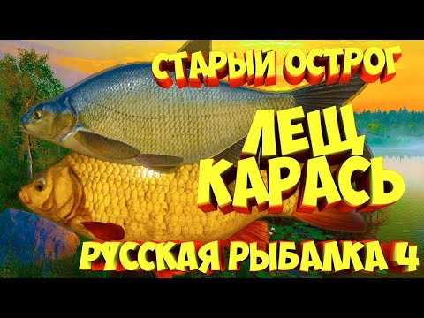 Видео: Ловим  лещей   и   Карасей   на  ст  Остроге:  Русская   Рыбалка 4!!!