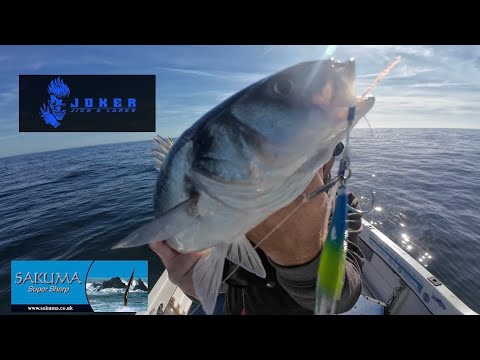 Видео: Великолепный окунь! Глубоководная рыбалка на затонувшие корабли — @JOKERjigsandlures