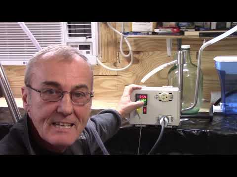 Видео: ДЕНЬ ВИНОКУРЕНИЯ ЧАСТЬ 2