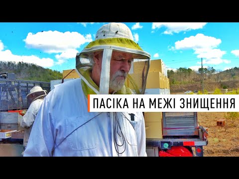 Видео: Боб Бінні. Моя найбільша поразка за 10 років! Як виправити помилки?