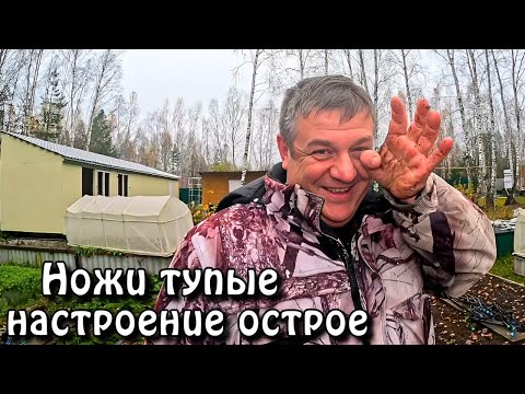 Видео: Дача осенью 