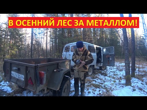 Видео: НОВОЕ ВИДЕО! УРА, В ЛЕС, НА ПОИСКИ МЕТАЛЛА! ДОЛГОЖДАННЫЙ ВЫЕЗД! НАХОДОК НЕ ГУСТО,НО МЫ РАДЫ КАЖДОЙ!