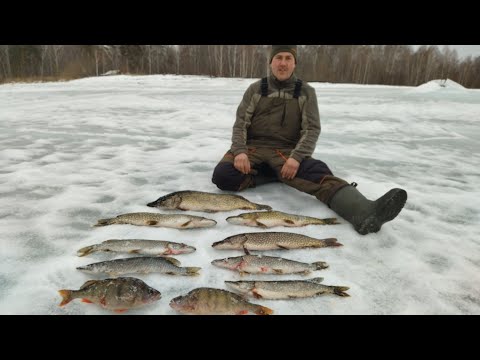 Видео: РЫБАЛКА НА 8 МАРТА.   ЗАКЛЮЧИТЕЛЬНАЯ СЕРИЯ.
