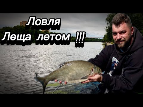 Видео: Ловля леща летом на фидер . Рыбалка на Москва реке #рыбалканафидер