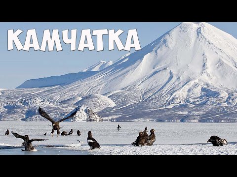 Видео: Камчатка Видеоклип на песню Юрия Кандалина "КАМЧАТКА"
