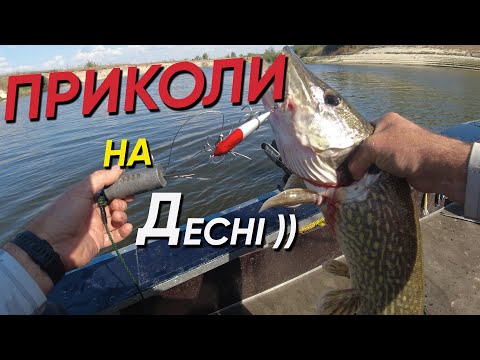 Видео: ✅ТРОЛІНГ ЦЕ РИБАЛКА ЧИ НІ??? Приколи на Десні)) ЩУКУ ВІДЧЕПОМ Я ЩЕ НЕ ЛОВИВ!!! Осінь 2024 ✅