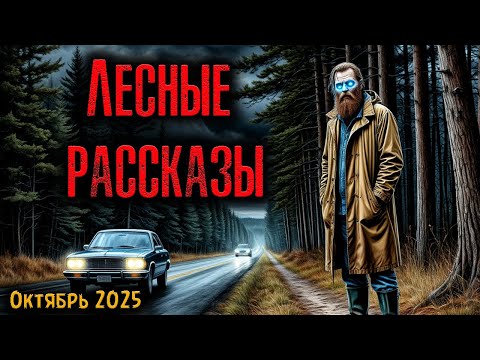 Видео: ЛЕСНЫЕ РАССКАЗЫ | Страшные истории