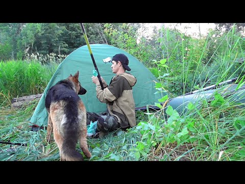 Видео: 24 ЧАСА НА РЫБАЛКЕ. НОЧЬ В ПАЛАТКЕ