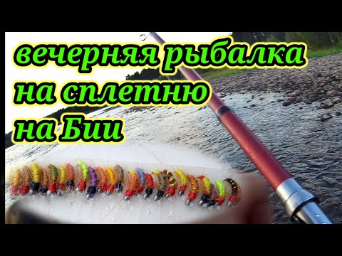 Видео: Вечерняя ловля Хариуса на сплетню 👆