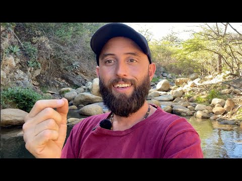 Видео: Покупка фермы в НИКАРАГУА | Мои честные 5 советов и рекомендаций!