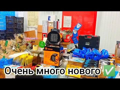 Видео: СВЕТОФОР🚦 ТОЛПЫ ЛЮДЕЙ❗ГОРЫ НОВИНОК👍 ОБЗОР Октябрь 2024