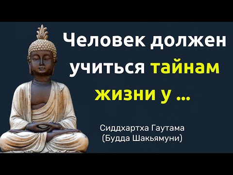 Видео: Вдохновляющие слова Сиддхартха Гаутама (Будда Шакьямуни). Цитаты