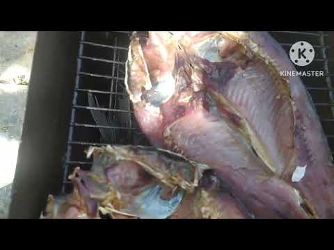 Видео: Сазан горячего копчения на даче..