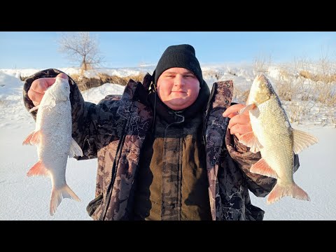 Видео: Рыбалка 2024 или Рыбалка в Сибири. Рыбалка на ХАПУГИ. Трудовая рыбалка с Матвеем. Рыбалка ХАПУГАМИ.
