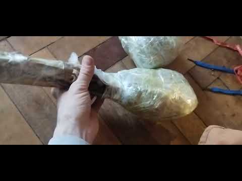 Видео: ЯК ПРАВИЛЬНО ВІДПРАВЛЯТИ ЖИВЦІ ( ЧЕРЕНКИ ) ДЛЯ ЩЕПЛЕННЯ. МІЙ МЕТОД!