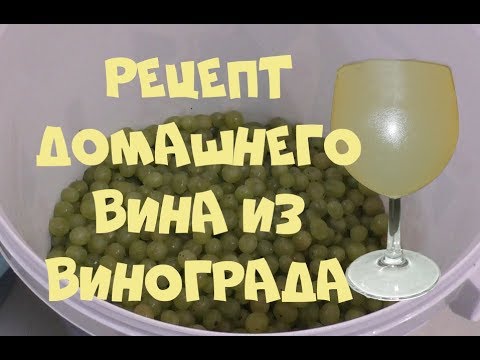 Видео: Рецепт домашнего ВИНА из белого винограда.