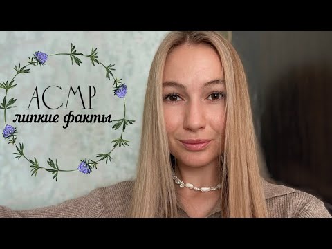 Видео: АСМР липкие факты 2🤤👅💦