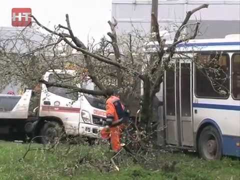 Видео: Ребенок угнал пассажирский автобус и попал в ДТП в районе Колмово Великого Новгорода