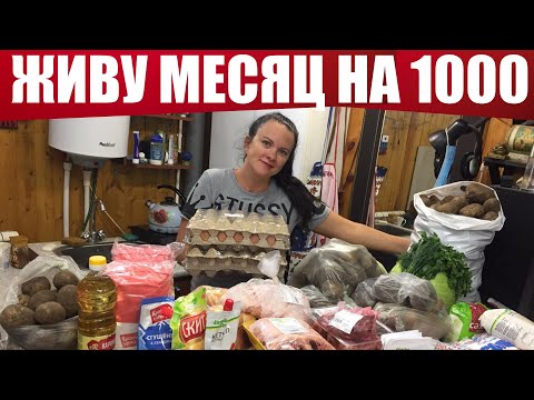Видео: КАК ПРОЖИТЬ на 1000 рублей 30 ДНЕЙ (1-3 день)
