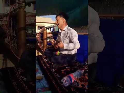 Видео: Ангор туманида тулкинака туйида хизматда булдик 990352081