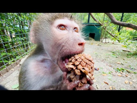 Видео: УМОРА! Люся из Ну Погоди! Исполняет Брейк-данс НА МИСКЕ! Тайган