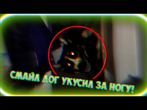 Видео: Вызов Духов | Смайл Дог [Smile Dog] (ЖЕСТЬ! УКУСИЛ ЗА НОГУ, СЛОМАЛ ЧАСЫ!)