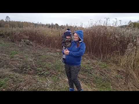 Видео: Осенняя вспашка сидератов.