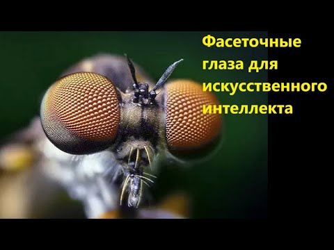 Видео: Фасеточные глаза для искусственного интеллекта