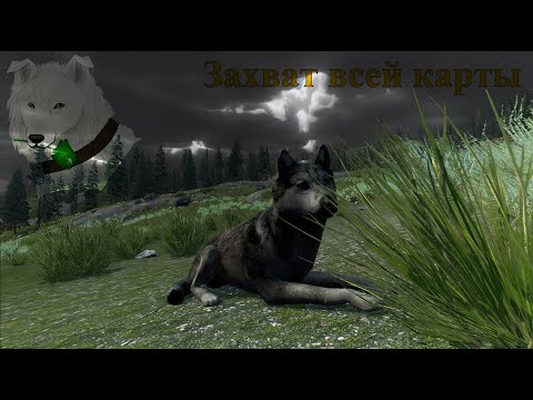 Видео: Захватываем карту Amethyst Mountain месяц третий со стаей в WolfQuest: Anniversary Edition №22