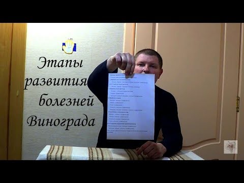 Видео: Схема этапов ВОЗНИКНОВЕНИЯ и РАЗВИТИЯ БОЛЕЗНЕЙ на Винограднике