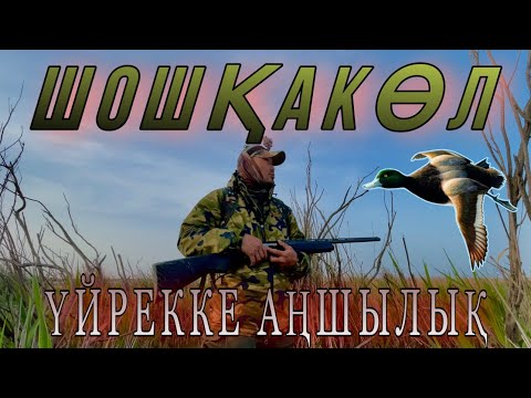 Видео: ҮЙРЕК атып далада қуырдақ жасадық | ШОШҚАКӨЛ ОХОТА