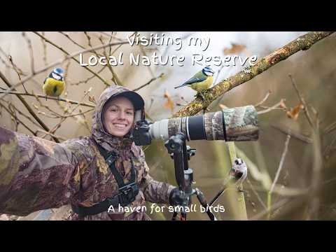 Видео: Фотосъемка дикой природы в моем местном заповеднике